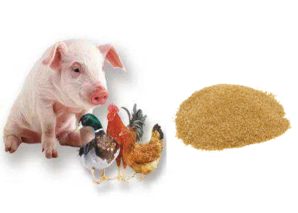 饲料添加剂应用